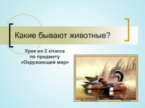 Презентация к уроку окружающего мира Какие бывают животные