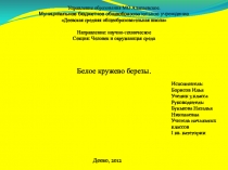 Презентация к защите исследовательского проекта Белое кружево березы