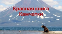 Презентация научно-исследовательского проекта на тему Красная книга Камчатки (4 класс)
