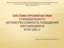 Система профилактики суицидального (аутоагрессивного) поведения обучающихся