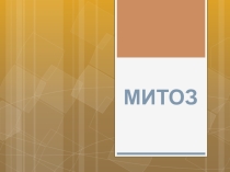 Жасушалық цикл. Сома жасушаларының негізгі көбею типі . МИТОЗ