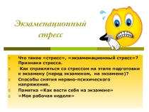 Презентация Профилактика экзаменационного стресса