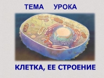 Презентация по экологии на тему Строение клетки  ФГОС ООО (5 класс)