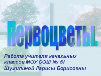 Презентация классного часа для 3 класса Первоцветы