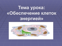 Презентация по биологии по теме Обеспечение клеток энергией