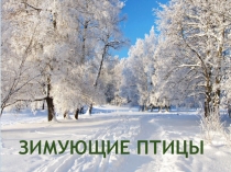Зимующие птицы
