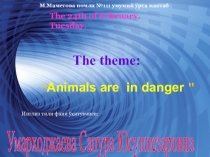 Презентация по английскому языку на тему “Animals are in danger