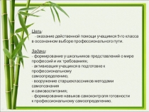 Классный час Игра по профориентации для учащихся 9-х классов