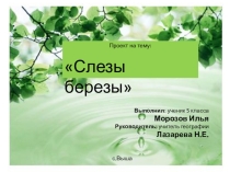 Презентация к исследовательской работе Слезы березы