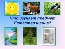 Презентация по предмету Естествознания. Что изучает предмет Естествознание?