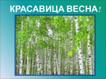Знакомство дошкольников с признаками и особенностями весны