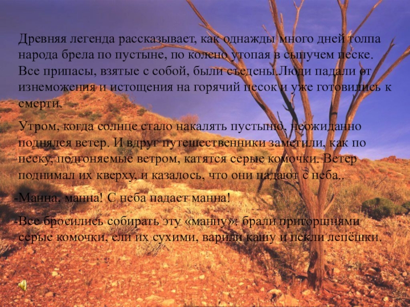 Презентация на тему Древняя легенда рассказывает, как однажды много дней толпа Древняя легенда рассказывает, как однажды много дней толпа народа брела по пустыне, по колено утопая в сыпучем