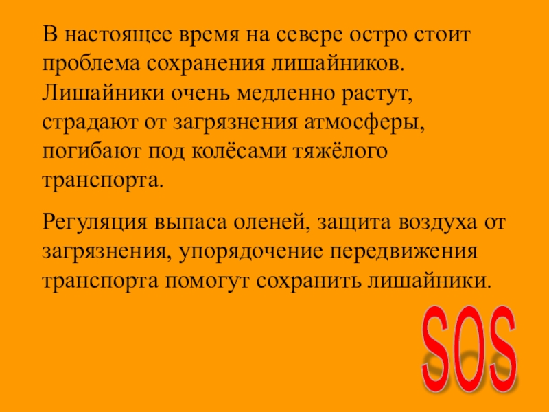 Презентация по биологии на тему Лишайники В настоящее время на севере остро стоит проблема сохранения лишайников. Лишайники В настоящее время на севере остро стоит проблема сохранения лишайников. Лишайники очень медленно растут, страдают от загрязнения