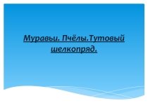 Презентация по биологии на тему  Муравьи, пчелы