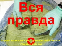 Презентация Вся правда о насвае