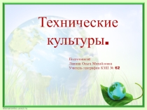 Технические культуры мира ( профильное обучение)
