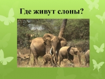 Презентация по окружающему миру Где живут слоны? (1 класс, программа Школа России)