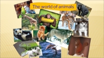 Презентация по английскому языку 4 класс What animals I like УМК English Авторы: В.П.Кузовлев, Н.М.Лапа, Э.Ш.Перегудова и др.