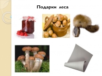 Презентация к уроку Грибы - особое царство