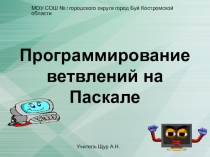 Программирование ветвлений на Паскале