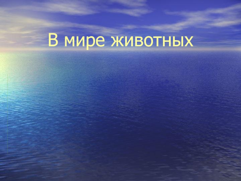 Игра по экологии В мире животных для 3 - 4 классов