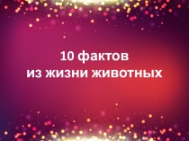 Презентация 10 фактов из жизни животных