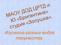 Презентация студии дополнительного образования Золушка
