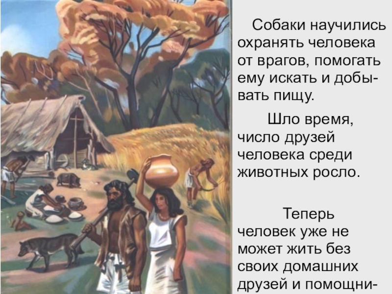 Презентация интегрированного урока по окружающему миру Домашние животные и литературного чтения Т. В. Белозеров. Хомячок 2 класс Собаки научились охранять человека от врагов, помогать ему искать Собаки научились охранять человека от врагов, помогать ему искать и добы-вать пищу. Шло время, число