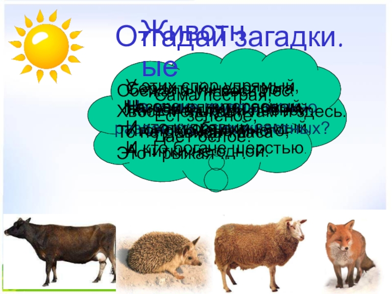 Презентация интегрированного урока по окружающему миру Домашние животные и литературного чтения Т. В. Белозеров. Хомячок 2 класс Отгадай загадки.Сама пёстрая,Ест зелёное,Даёт белое.У этих спор упрямый,Но очень интересный Отгадай загадки.Сама пёстрая,Ест зелёное,Даёт белое.У этих спор упрямый,Но очень интересный -И кто кудрявый самый,И кто