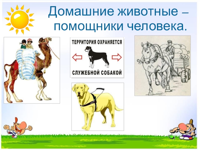 Презентация интегрированного урока по окружающему миру Домашние животные и литературного чтения Т. В. Белозеров. Хомячок 2 класс Домашние животные – помощники человека. Домашние животные – помощники человека.