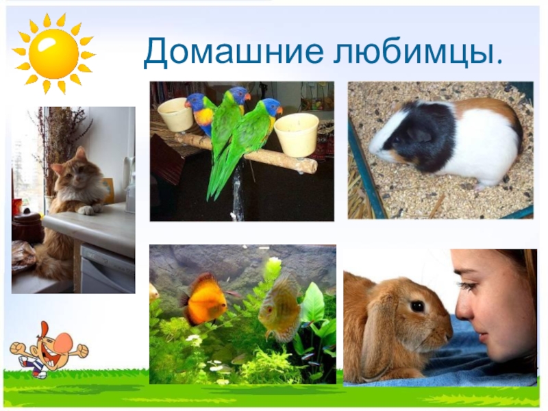 Презентация интегрированного урока по окружающему миру Домашние животные и литературного чтения Т. В. Белозеров. Хомячок 2 класс Домашние любимцы. Домашние любимцы.