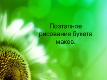 Поэтапное рисование букета маков.