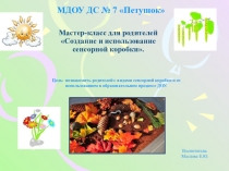 Мастер класс для родителей Сенсорная коробка