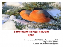Презентация Зимующие птицы нашего края