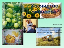 Презентация по окружающему миру на тему: