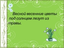 Презентация к уроку И.А.Бунин Родник