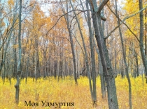 Презентация Моя Удмуртия. Фотографии Завьяловский район.
