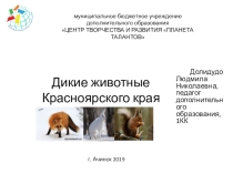 Презентация Дикие животные Красноярского края