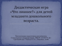 Дидактическая игра Что лишнее?
