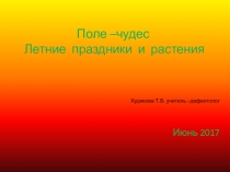 Презентация к игре Поле- чудес