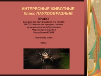 Презентация по окружающему миру Интересные животные