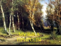 Презентация к часу общения Музыка природы