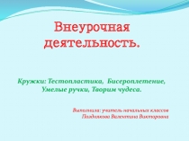 Презентация отчет по внеурочной деятельности
