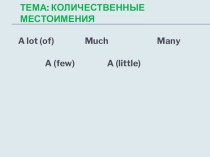 Презентация Количественные местоимения по английскому языку