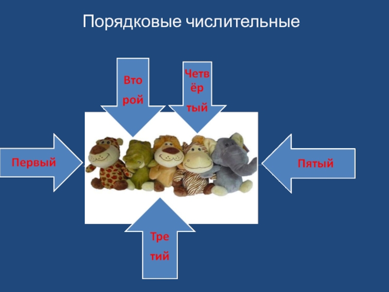 Презентация по русскому языку на тему Порядковые числительные Порядковые числительные Порядковые числительные