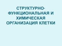 Презентация по биологии на тему Химический состав клетки (10 класс)