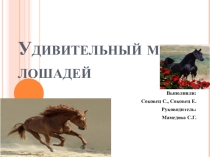 Удивительный мир лошадей. Презентация