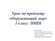 Презентация по окружающему миру на тему Урожай зерновых (1 класс ПНШ)