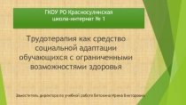 Презентация опыта работы общеобразовательного учреждения по теме Трудотерапия как средство социальной адаптации обучающихся с ограниченными возможностями здоровья