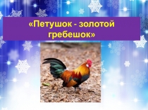 Проектная деятельность в начальной школе. Петушок -золотой гребешок. (2 класс)